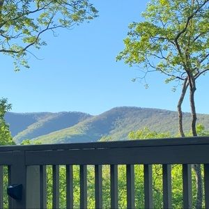 Meet your Posher, Avery